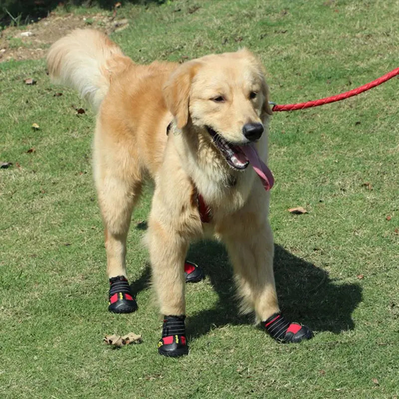 Reflective Waterproof Dog Boots