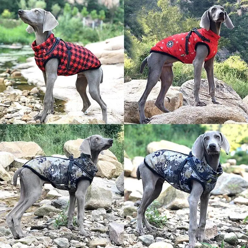 Cozy Paws Waterproof Dog Jacket