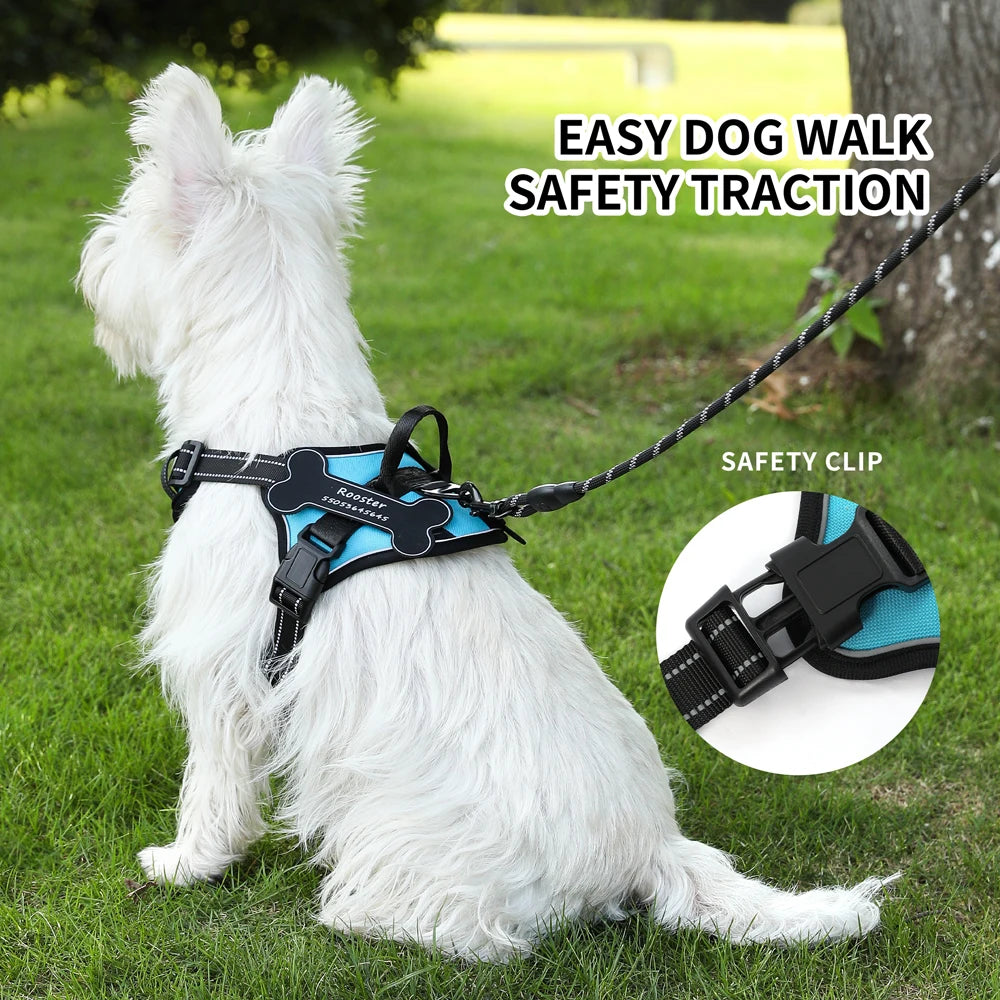 Personalized Canine Comfort Harness