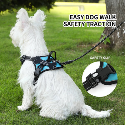 Personalized Canine Comfort Harness