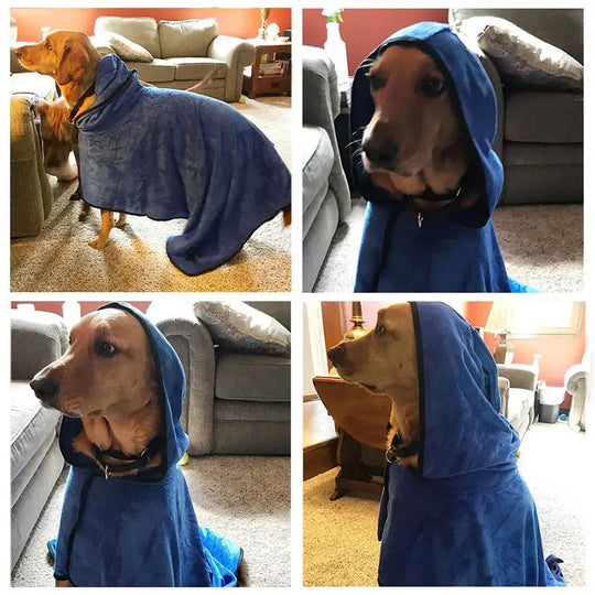 Dog modeling a spa-style bathrobe

