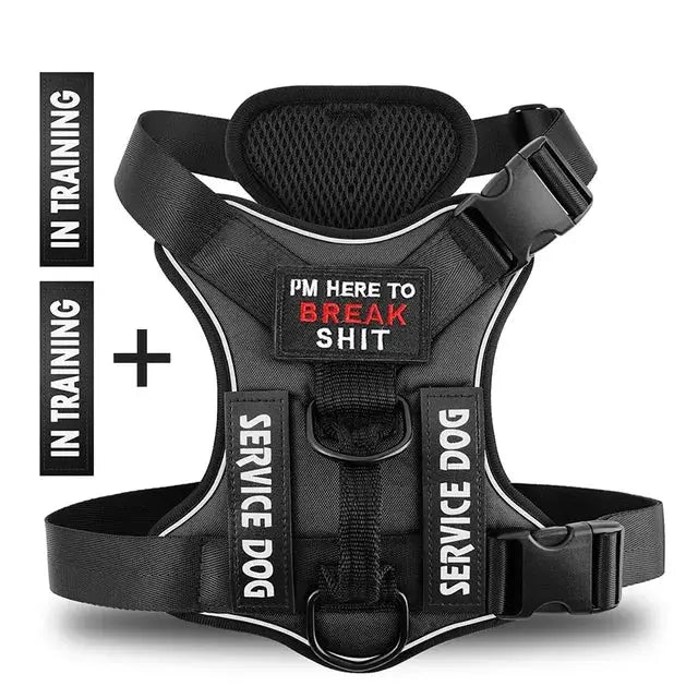 German shepherd in TacticalTailor tactical harness

