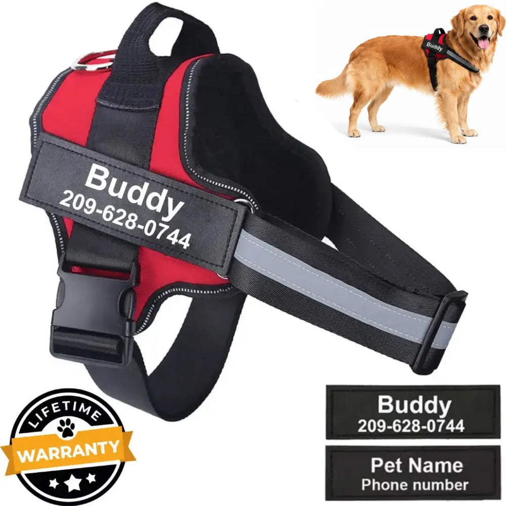 Personalized No Pull Harness