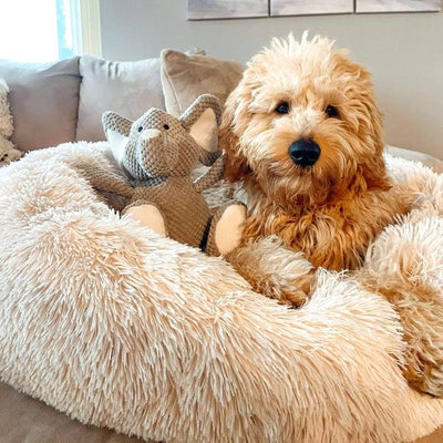 Cozy dog bed for big dogs