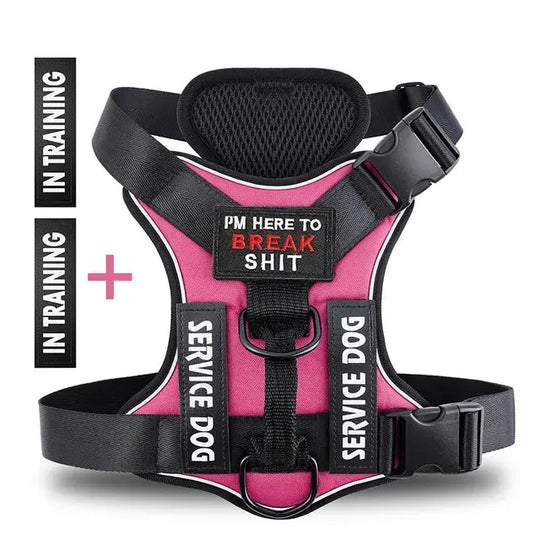 Heavy-duty harness with padded straps for comfort

