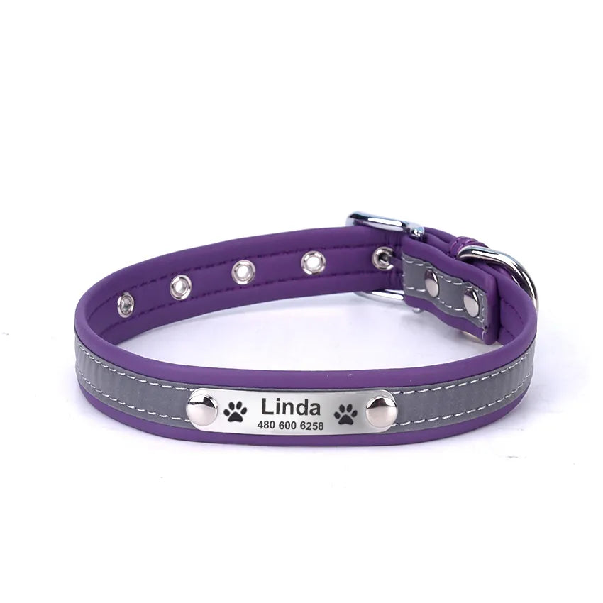 Collar with reflective stitching and metal buckle

