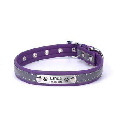 Collar with reflective stitching and metal buckle

