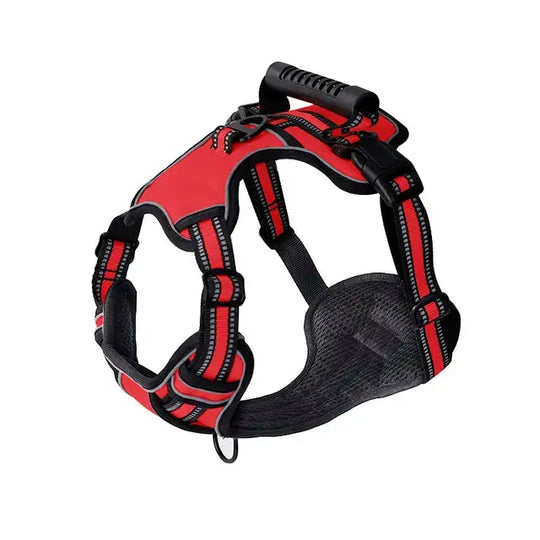 Breathable mesh comfort harness with reflective strips

