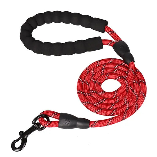 Premium reflective leash highlighting reflective strips in low light

