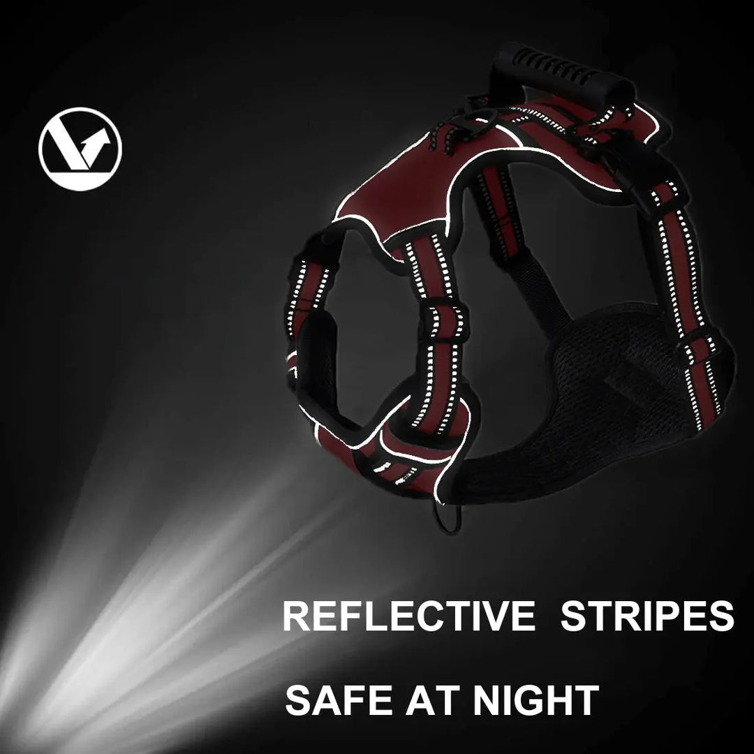 Adjustable reflective harness with front clip and handle

