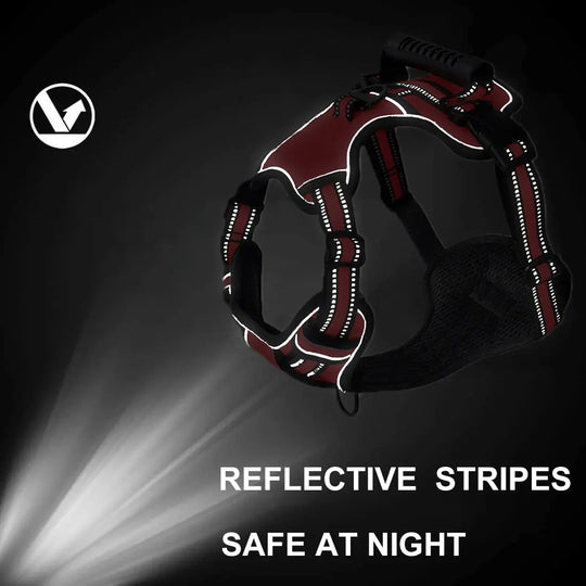 Adjustable reflective harness with front clip and handle

