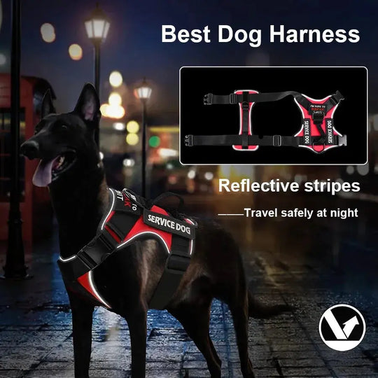 Military-style dog harness with handle and patches

