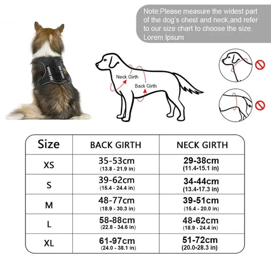 Durable harness for working and service dogs

