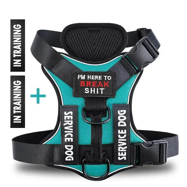 Dog in a black TacticalTailor harness during training


