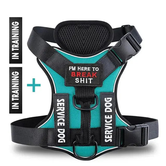 Dog in a black TacticalTailor harness during training

