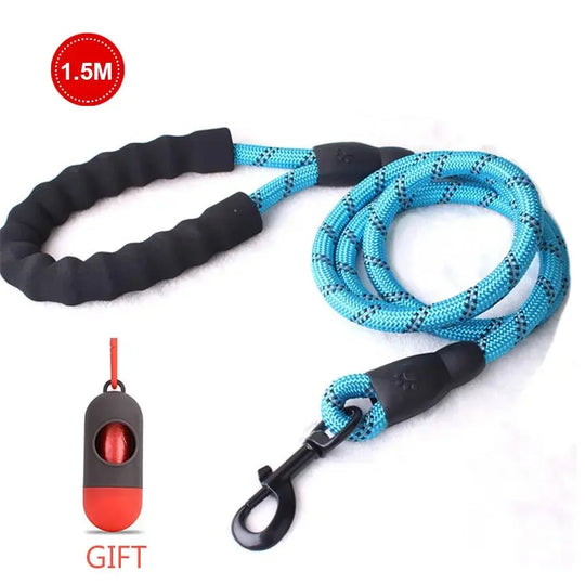 Dog owner gripping a premium reflective leash with visible reflectors

