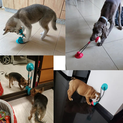 Dog tug toy with hidden snack pocket