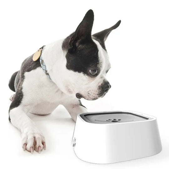 Pet No Spill Water Bowl
