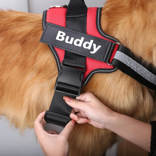 Red_no_pull_dog_harness