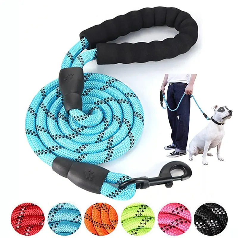 Premium reflective leash for dogs with high-visibility safety features

