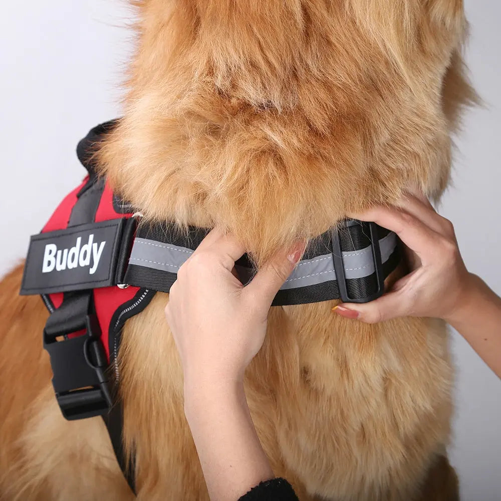 red black no pull dog harness