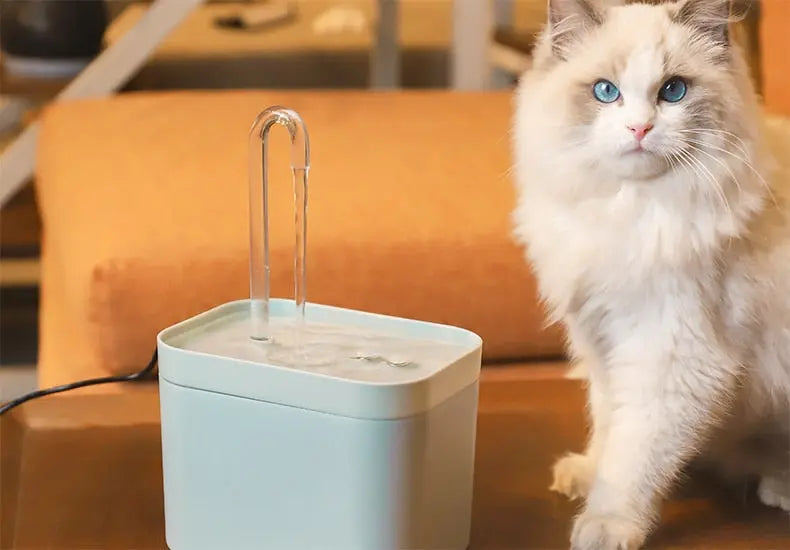High-Quality Cat Water Fountain with Vet Approval

